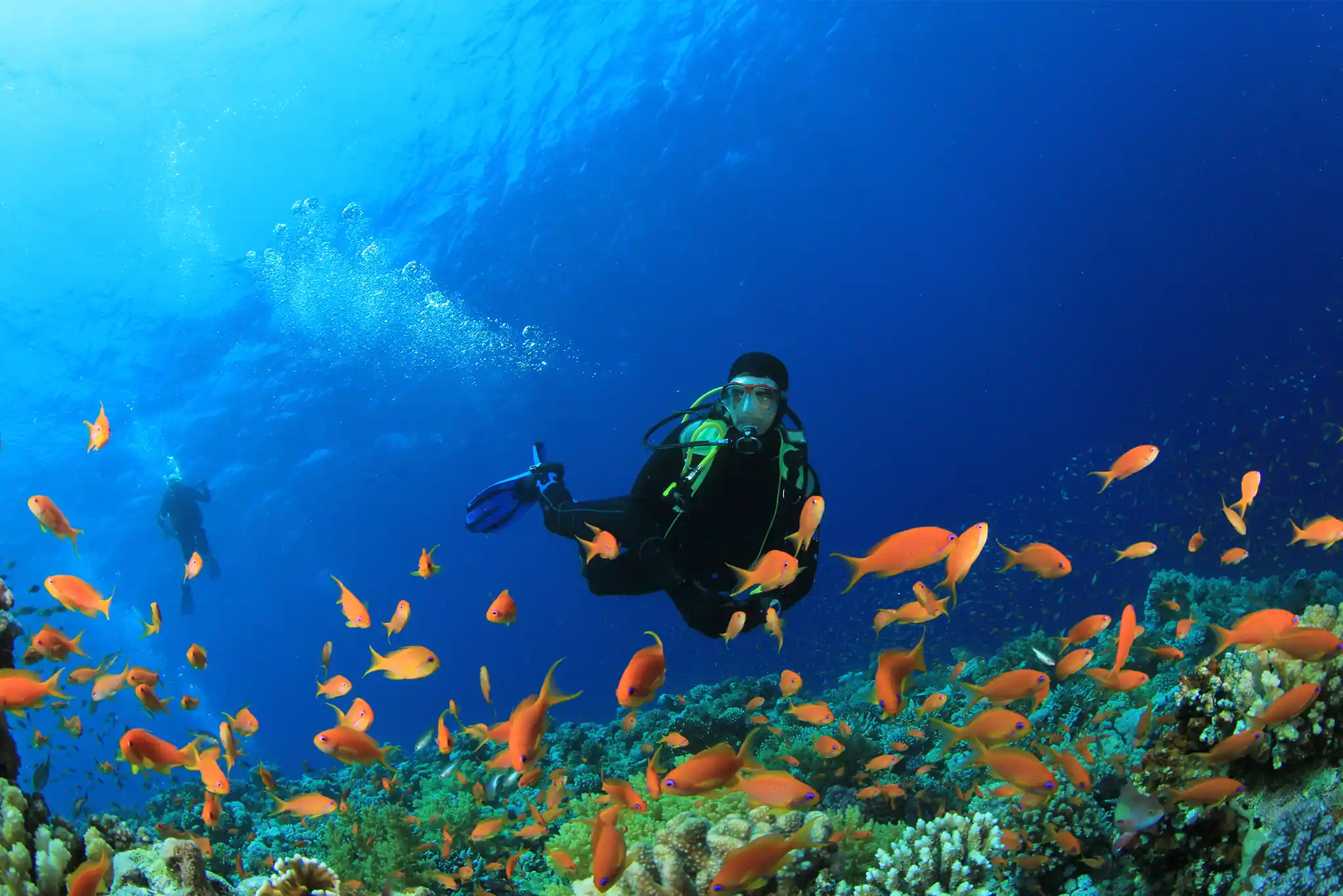 Water sports & diving gear