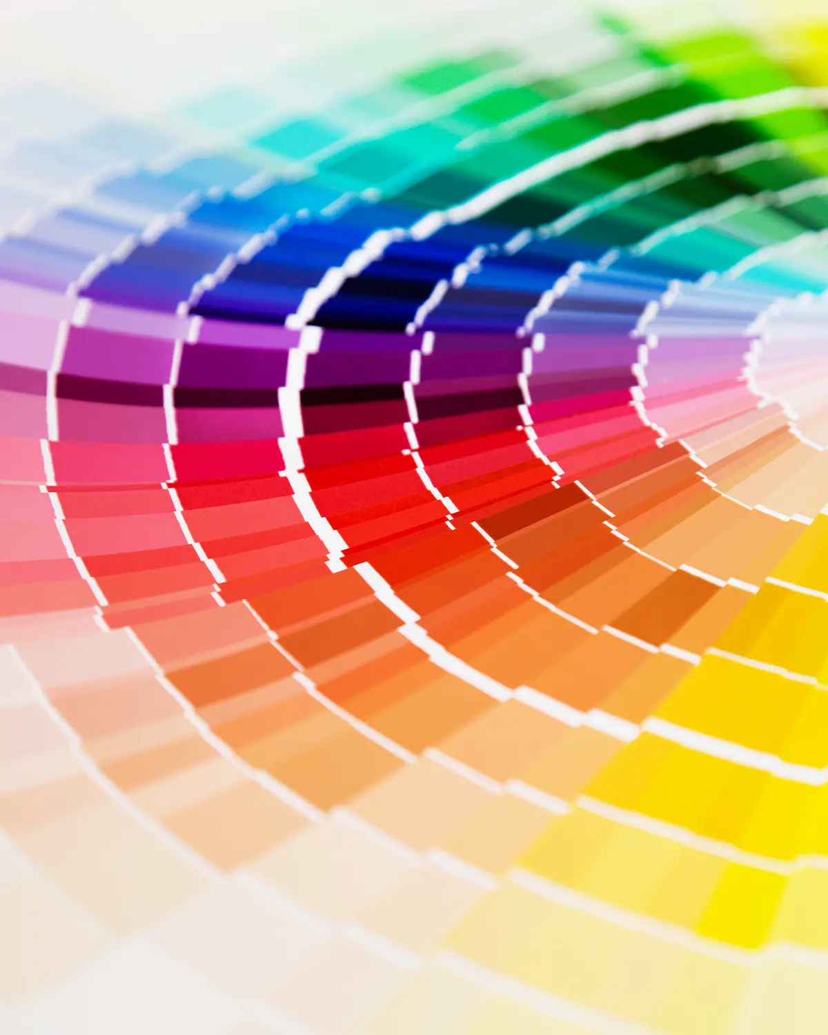 custom colors